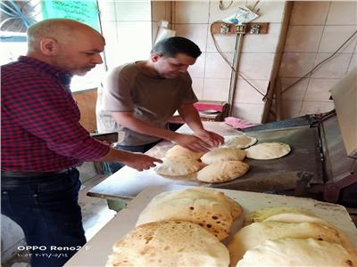 حملة تموينية بالاسكندرية