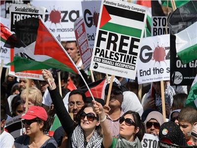 مسيرات لدعم فلسطسن