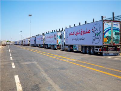 قافلة صندوق تحيا مصر  تصل ميناء رفح لتوصيل المساعدات لقطاع غزة