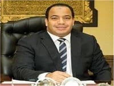 د.عبدالمنعم السيد مدير مركز القاهرة للدراسات الاقتصادية