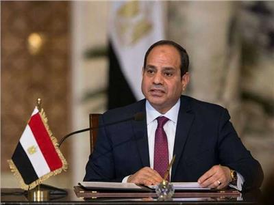  الرئيس عبد الفتاح السيسي وزارة الدولة للهجرة وشئون المصريين 