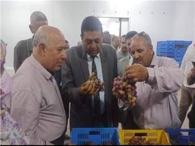  المهندس محمد بركات التركاوى وكيل وزارة الزراعة