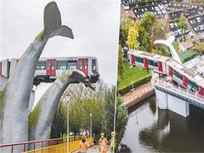 ذيل الحوت أنقذ القطار من حادث 