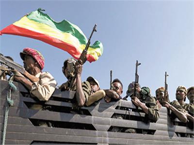 ■ قوات إثيوبية قرب تيجراى