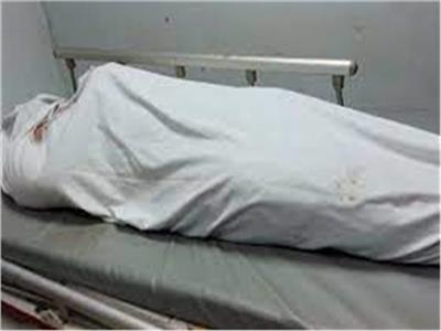 صورة موضوعية