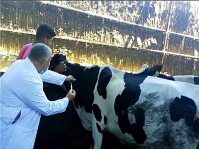 صورة موضوعية
