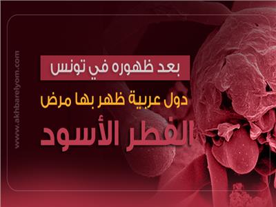 إنفوجراف| دول عربية ظهر بها مرض الفطر الأسود