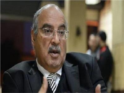 الدكتور مجدي علام رئيس اتحاد خبراء العرب
