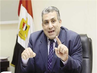 الدكتور أشرف الزيات رئيس مركز كبار الممولين