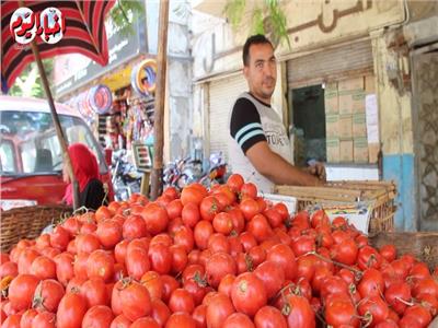 مجنونة يا أوطة.. سبب ارتفاع سعر الطماطم في السوق المصري| فيديو