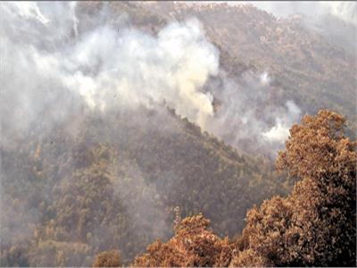  دخان الحرائق يتصاعد شمال الجزائر