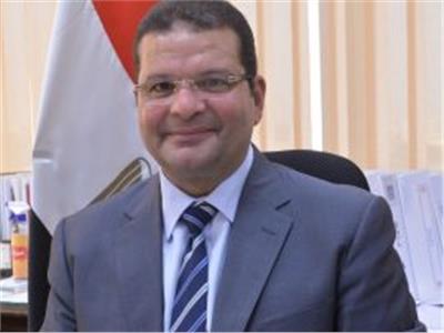 الدكتور إيهاب أبوعيش نائب وزير المالية لشئون الخزانة