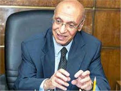 المستشار محمد الشناوي نائب رئيس المحكمة الدستورية السابق