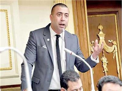 احمد بهاء شلبي رئيس الهيئة البرلمانية لحزب حماة الوطن