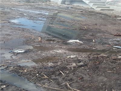 قرية بدمياط تغرق في مياه الصرف الصحي منذ شهر كامل بدون حل| صور  