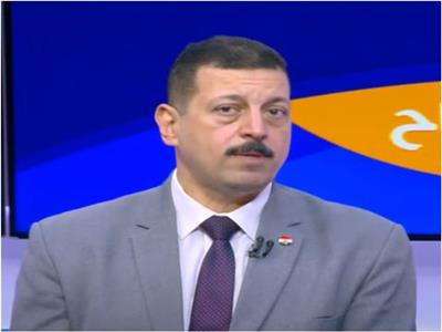 الدكتور أيمن حمزة، المتحدث باسم وزارة الكهرباء