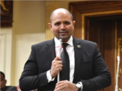 النائب حسام صالح عوض الله رئيس لجنة الطاقة والبيئة بمجلس النواب 