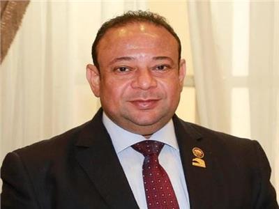 النائب محمد محمود لبيب، عضو لجنة الشباب والرياضة بمجلس النواب