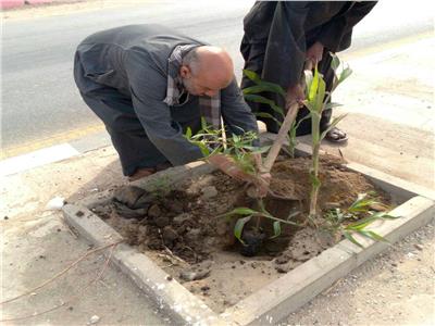 زراعة 170 شجرة بقرى مركز سوهاج ضمن فعاليات مبادرة " أحلى وهي خضرة "