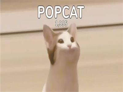 صورة اللعبة popcat