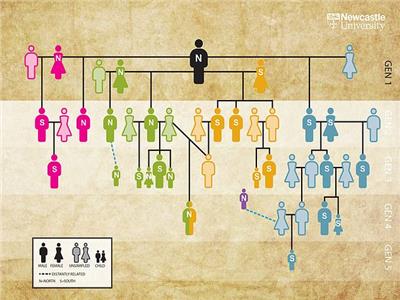  27 الأفراد ينحدرون من أربع نساء جميعهن لديهن أطفال من نفس الرجل  قبل 5700 عام