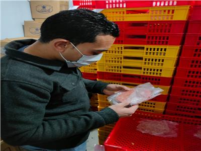 غلق مصنع لحوم ببلبيس واعدام 3اطنان من اللحوم الفاسده به