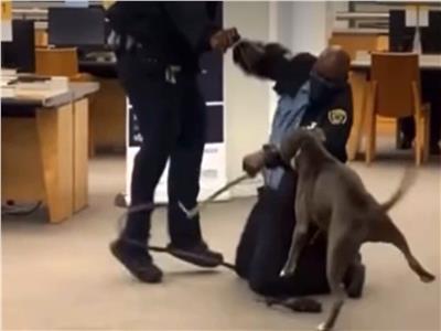 كلب يهاجم بشراسة حارس أمن مكتبة سان فرانسيسكو