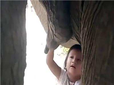 طفلة صغيرة ترضع الحليب من أنثى فيل 