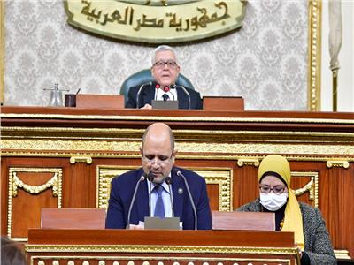 النائب حسام عوض الله عضو مجلس النواب