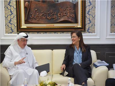 الدكتورة هالة السعيد وزيرة التخطيط والتنمية الاقتصادية  مع المهندس هاني سنبل 