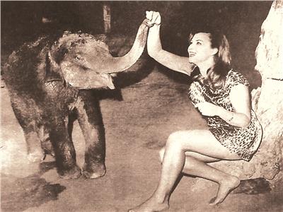 الفنانة ليلى تداعب فيلاً صغيراً على خشبة المسرح