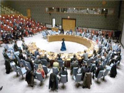  جانب من جلسة مجلس الأمن