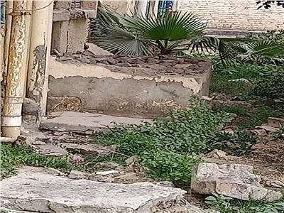 إزالة التعديات على حدائق شجرة مريم بالمطرية 