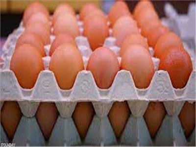 أسعار البيض - صورة أرشيفية