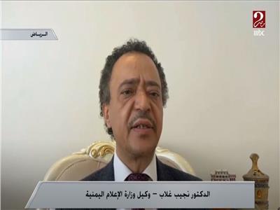 الدكتور نجيب غلاب وكيل وزارة الإعلام اليمنية