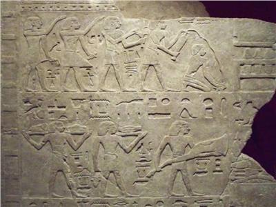 علم المصريات 