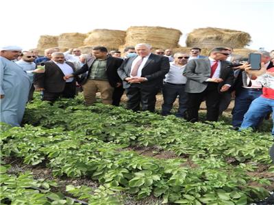وزير الزراعة يتفقد أحد حقول البطاطس والفراولةرر