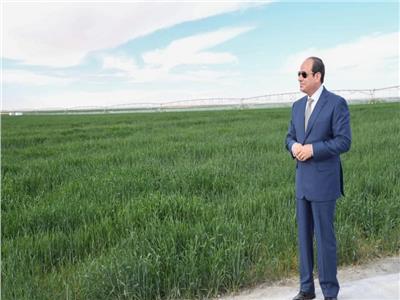 الرئيس السيسى أثناء متابعته لمشروعات زراعة القمح بتوشكا