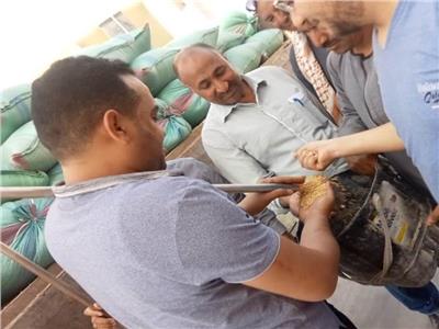 محافظ أسيوط يعلن تقديم الدعم للمزارعين خلال توريد  القمح بمركز أبوتيج 