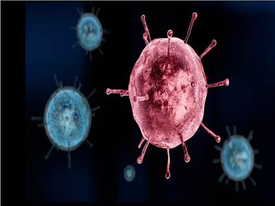 فيروس الإنفلونزا 