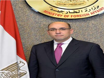 المتحدث الرسمي باسم وزارة الخارجية السفير أحمد حافظ