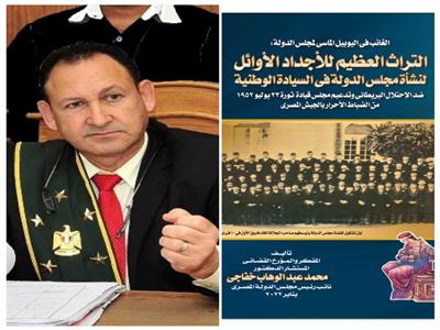  المستشار الدكتور محمد عبد الوهاب خفاجى نائب رئيس مجلس الدولة 