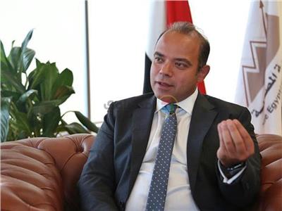 الدكتور محمد فريد رئيس مجلس إدارة البورصة المصرية