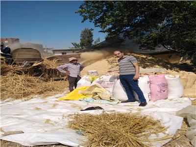 تحرير ١٠٥ محضر تموينى ضد أصحاب حيازات زراعية لم يقوموا بتوريد القمح 