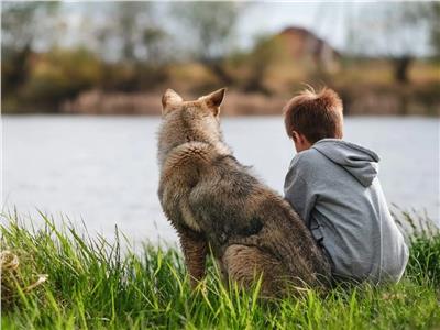 صداقة الكلاب للإنسان.. دراسة تكشف سر الوفاء