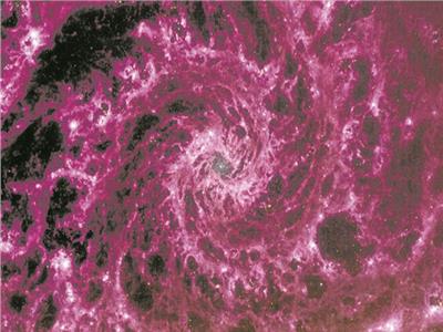 «المجرة الأورجوانية» تبهر السوشيالجية!