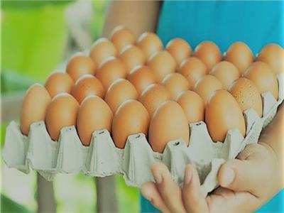 تخفيض سعر البيض