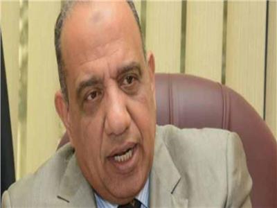 محمود كمال عصمت وزارة قطاع الأعمال