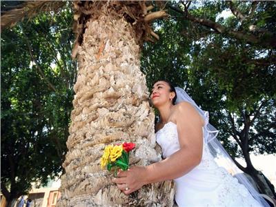 حفلات «كومبه فيفا».. نساء يتزوجن الأشجار 