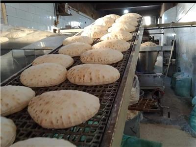 ضبط 33  مخبز  بلدى مدعم مخالف خلال حملات بالبحيرة 